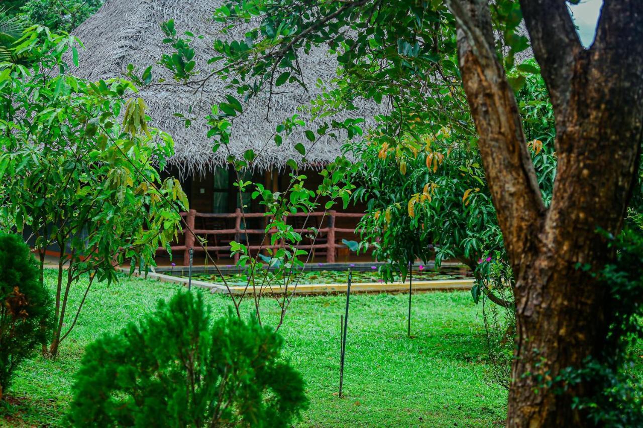 Sigiriya Water Cottage Exteriör bild