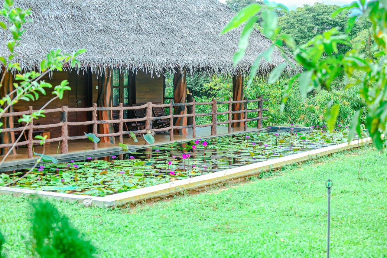 Sigiriya Water Cottage Exteriör bild