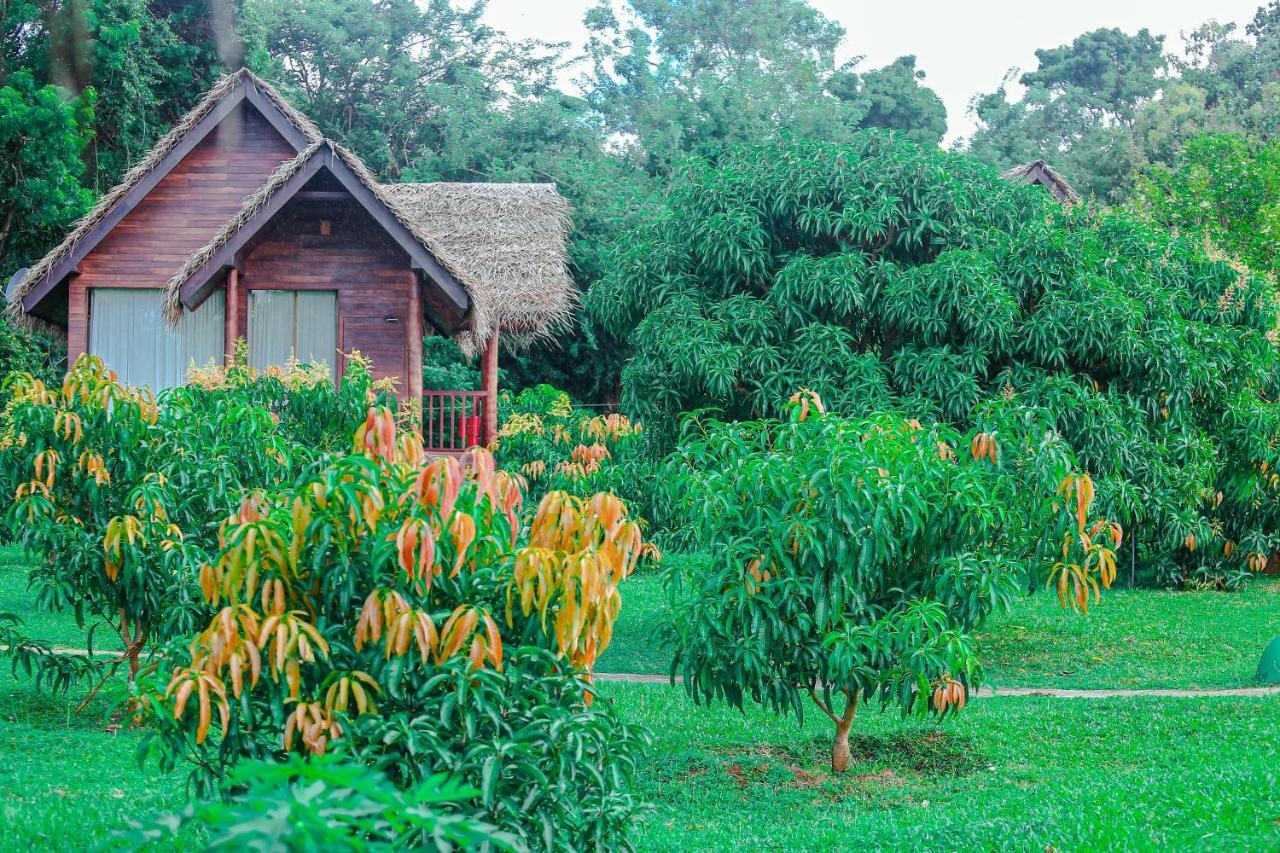 Sigiriya Water Cottage Exteriör bild